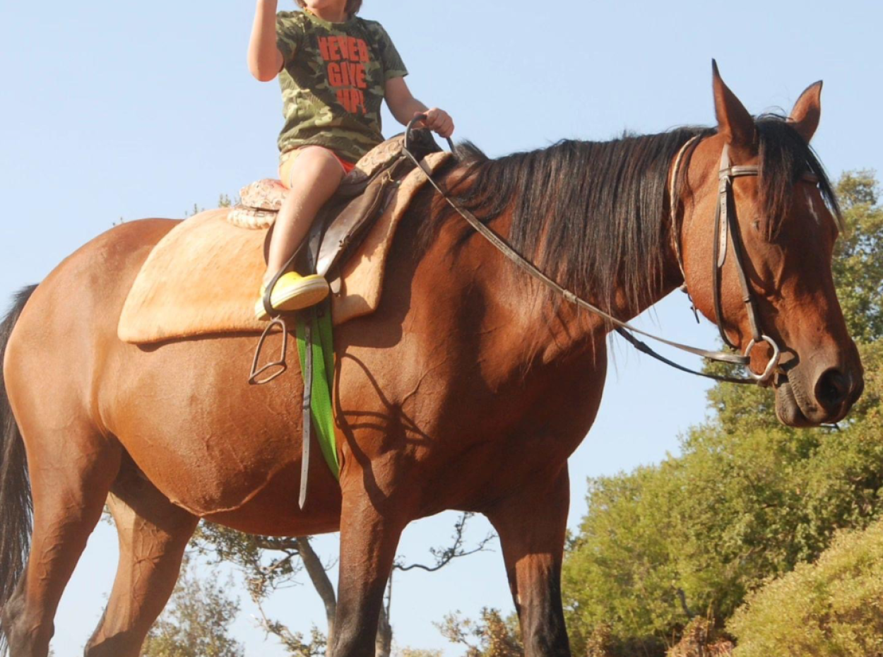 4 Gece 5 Gündüz Aktivite Programı