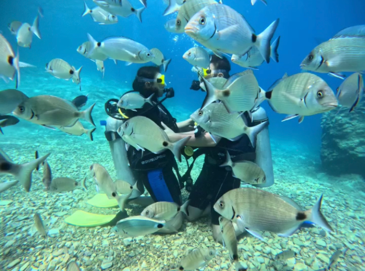 5 Gece 6 Gündüz Aktivite Programı