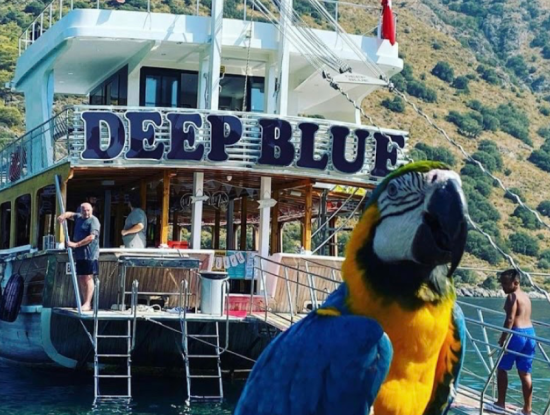 Balayı Paketi 4 Gece 5 Gündüz