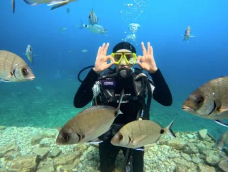 5 Gece 6 Gündüz Aktivite Programı