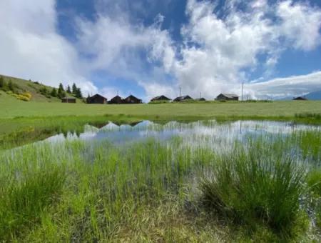 Macera Fethiye Karadeniz Yayla Turu